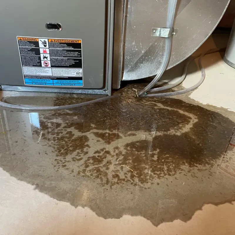 Appliance Leak Cleanup in Leeds, AL